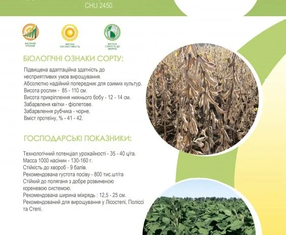 Семена сои под Раундап - Максус; Монро; Сенсор; Ультра, Венус - 1 репродукция- фото № 3