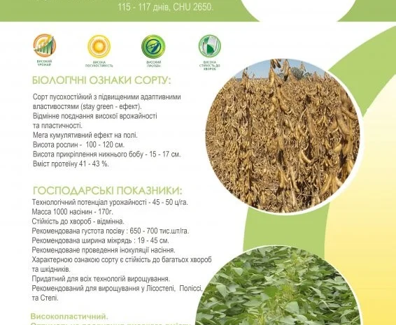 Семена сои под Раундап - Максус; Монро; Сенсор; Ультра, Венус - 1 репродукция- фото № 4