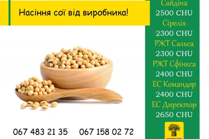 Продаж насіння сої, 1-ша репродукція- фото № 1