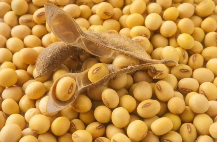 Куплю сою- фото № 1