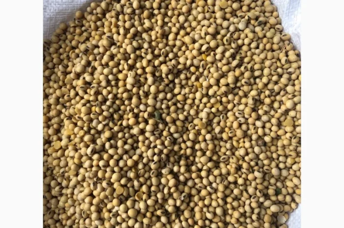 Соя посівна- фото № 1