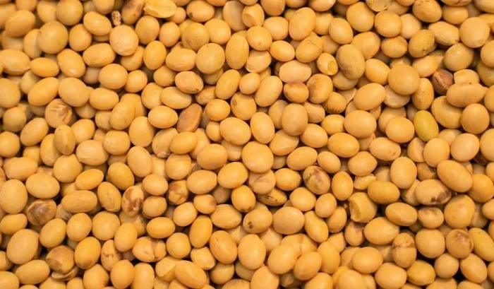 Закуповую сою з місця ф-1- фото № 1