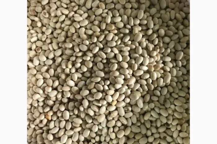 Пропонується фасоль Мавка- фото № 1