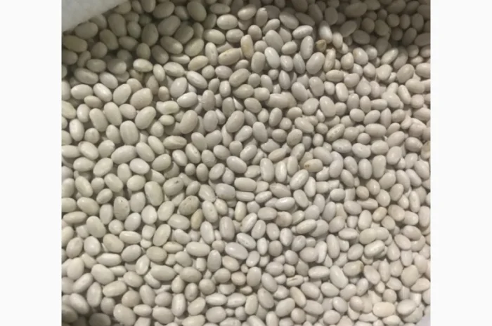 Продается фасоль оптом- фото № 2