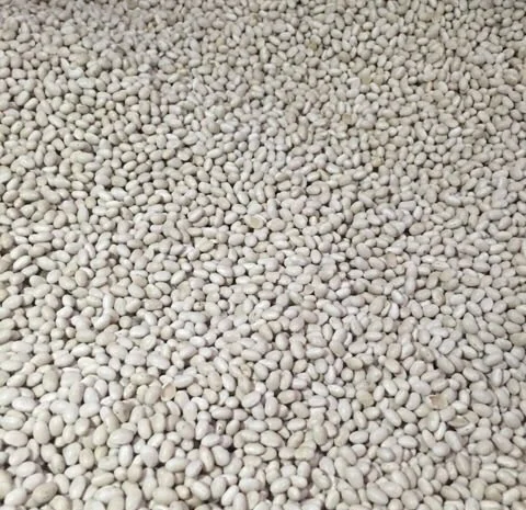 Закупаем Фасоль, Половинки фасоли- фото № 1