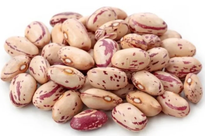 Куплю фасоль оптом- фото № 1