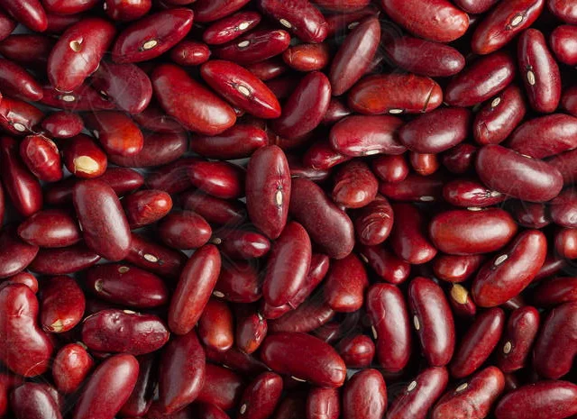 Пропонується сортова квасоля- фото № 1