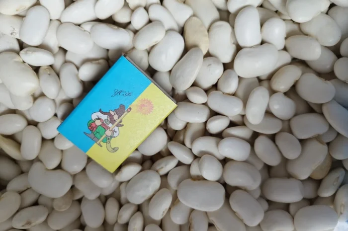 Продажа квасолі різних сортів- фото № 1