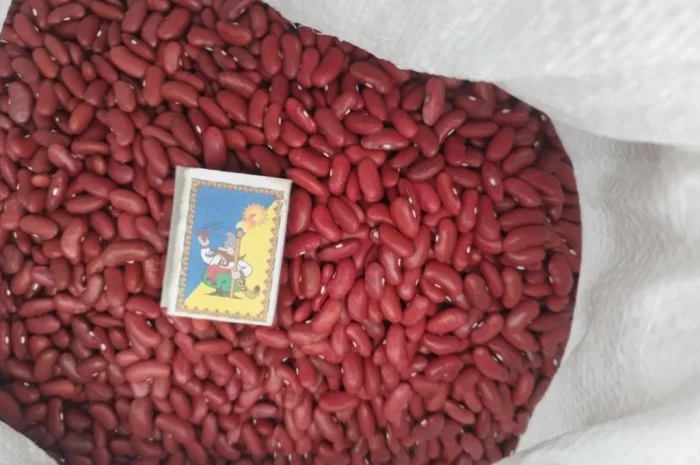 Продажа квасолі різних сортів- фото № 2