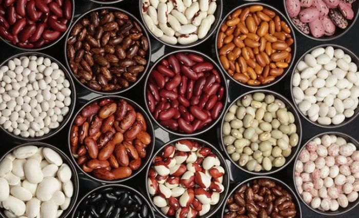 Продам Фасоль/Квасоля в асортименті ОПТ- фото № 1