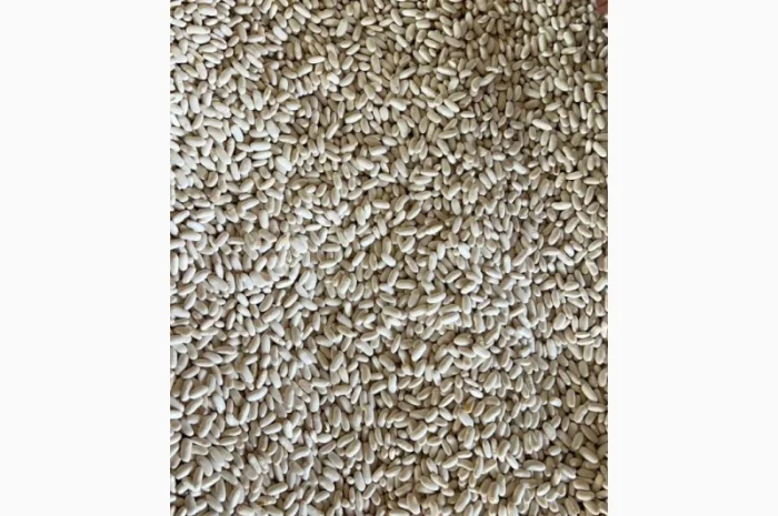 Квасоля біла Єгипет- фото № 2