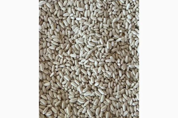 Квасоля біла Єгипет- фото № 4