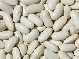 Купуємо білу квасолю для консервування- фото № 1