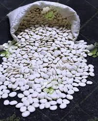 Купуємо білу квасолю Монро, Докучаєвська, Неві Бінс, Мавка та ін- фото № 1