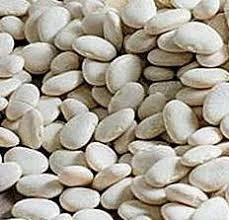 Продаємо насіння (посівмат) квасолі білої дрібної- фото № 1
