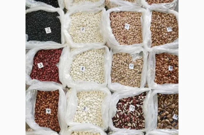 Квасоля. Мавка – оптова продажа- фото № 1