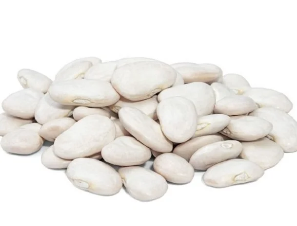 Куплю белую фасоль от 10 тонн- фото № 1