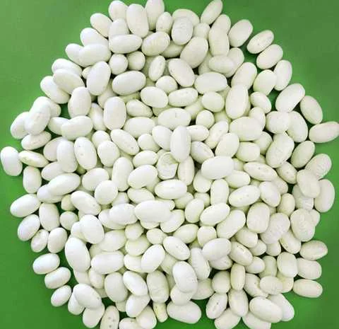 Куплю квасолю білу Монро- фото № 1