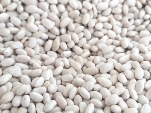 Купуємо білу квасолю (переробник)- фото № 1