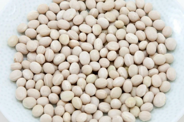 Насіння білої дрібної квасолі на продаж- фото № 1