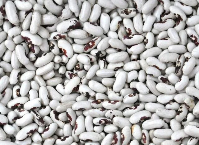 Фасоль различных сортов с доставкой по Украине- фото № 1