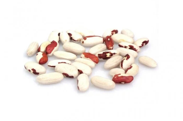 Покупаем оптом фасоль- фото № 1