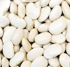 Купуємо на переробку від 10 т білої квасолі- фото № 1