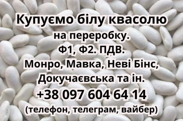 Купую білу фасоль для переробки- фото № 1