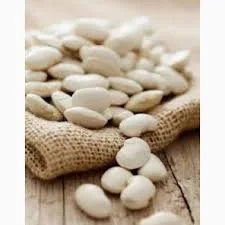 Посевная фасоль. Семена белой мелкой фасоли- фото № 1