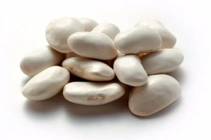 Купуємо білу квасолю (від 10 тонн)- фото № 1