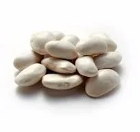 Куплю квасолю білу оптом для виробничих потреб- фото № 1