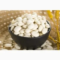 Закуповуємо квасолю для власних потреб- фото № 1