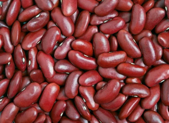 Продаємо квасолю сортову (в асортименті)- фото № 1