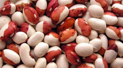 Квасоля різних сортів. Новий врожай- фото № 1