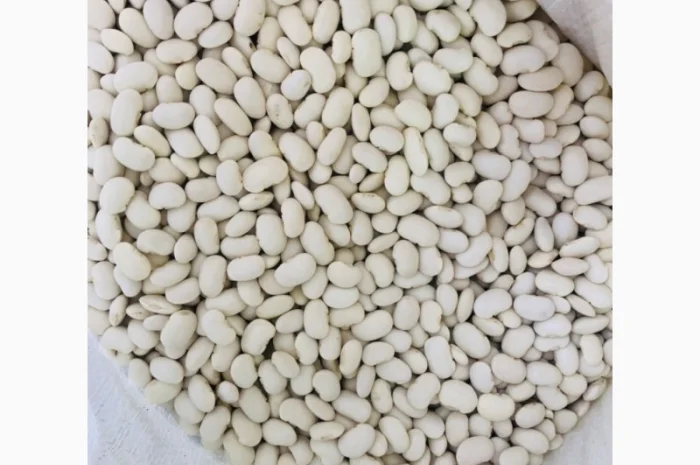 Куплю квасолю Бандоля- фото № 1