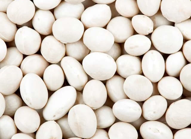 Продам Фасоль- фото № 2