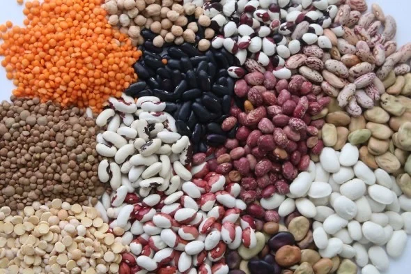 Куплю: Фасоль/квасолю різних сортів- фото № 1