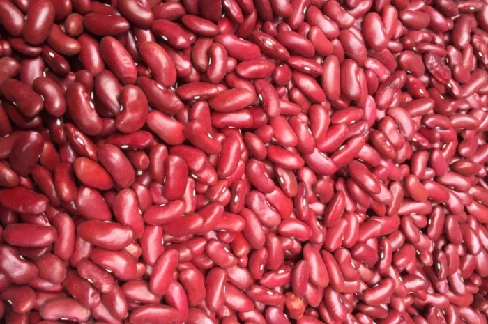 Продам квасолю Томатку гарної якості- фото № 1