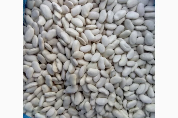 Продам квасолю Томатку гарної якості- фото № 3