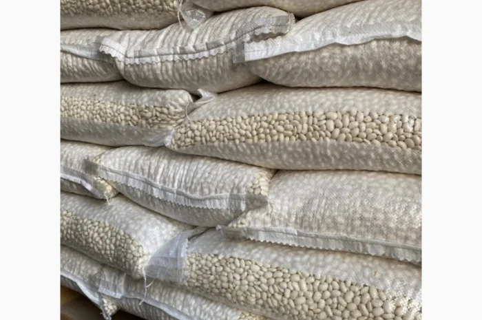 Продам квасолю Бандоля біла- фото № 1