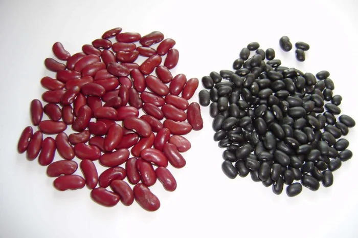 Фасоль из Аргентины- фото № 3