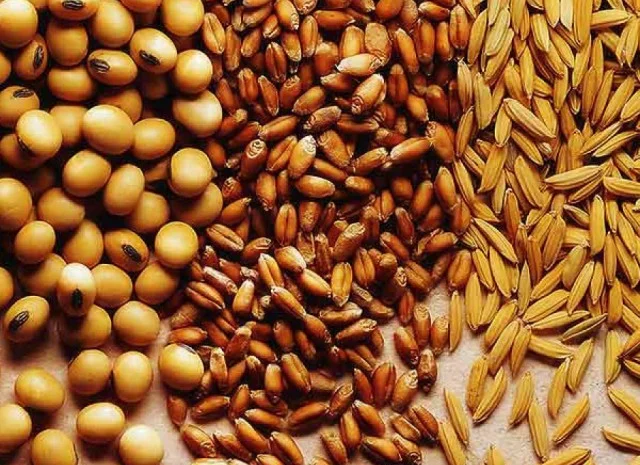 Закупівля зернових, бобових. Закупівля некондиції, зерновідходів- фото № 1