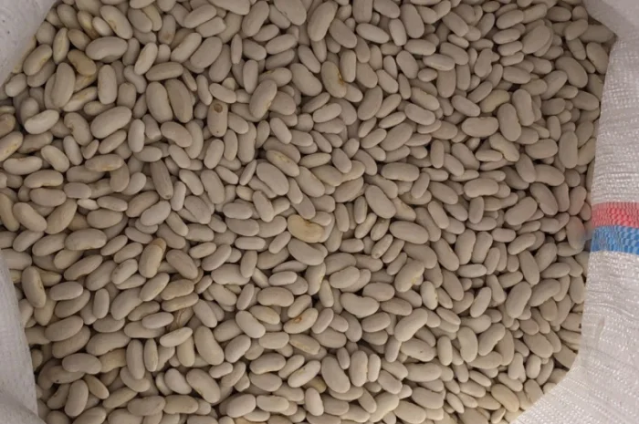 Продам фасоль белую длинную- фото № 1