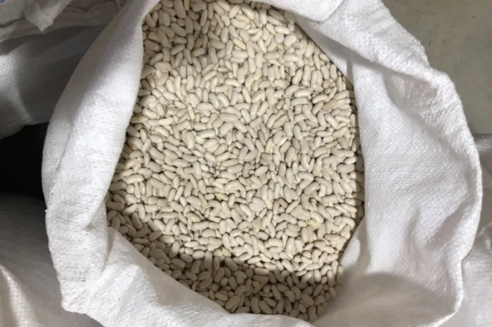 Продам фасоль белую длинную- фото № 2