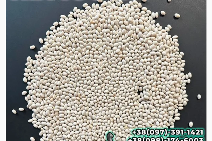 Квасоля Насіння Мавка Невібінс Лаура- фото № 1