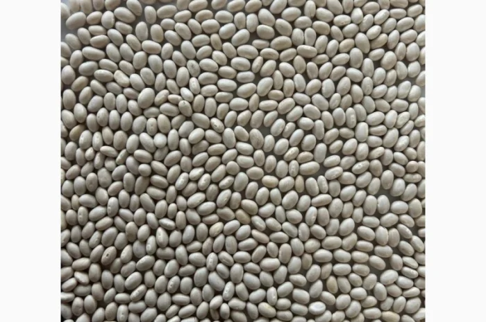 Квасоля Насіння Мавка Невібінс Лаура- фото № 5