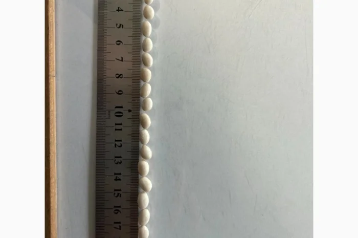 Квасоля Насіння Мавка Невібінс Лаура- фото № 6