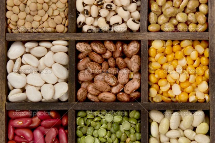 КВАСОЛЯ в асортименті- фото № 3