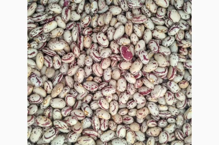 Барлолотт Квасоля Фасоль- фото № 1