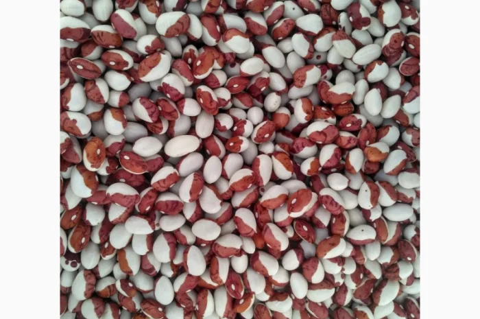 Квасоля шапочка- фото № 1